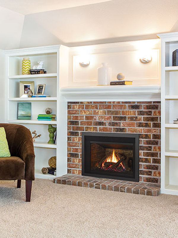 Regency Liberty LRI3E Gas Insert