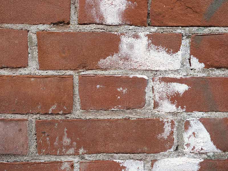 Efflorescence on bricks caused by water damage 