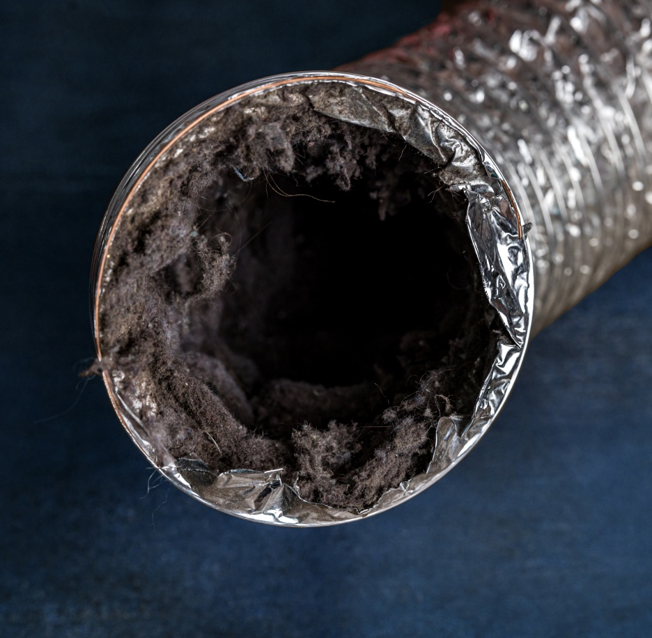 dirty dryer vent 1 dirty dryer vent